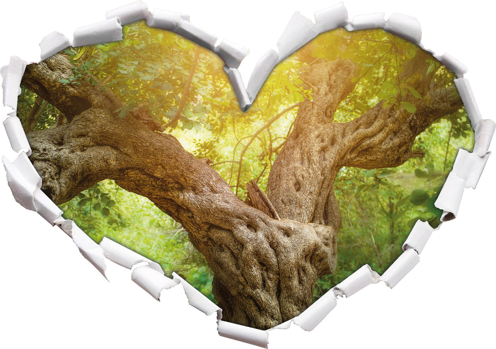 Mächtiger Baum im Wald 3D Wandtattoo Herz