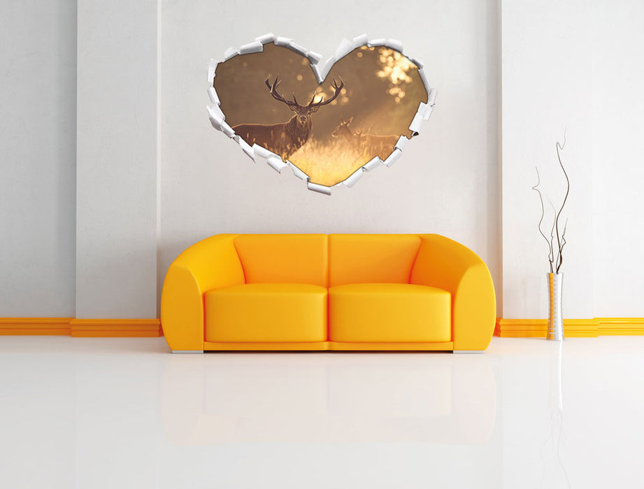 Rotwild im goldenen Morgenlicht 3D Wandtattoo Herz Wand