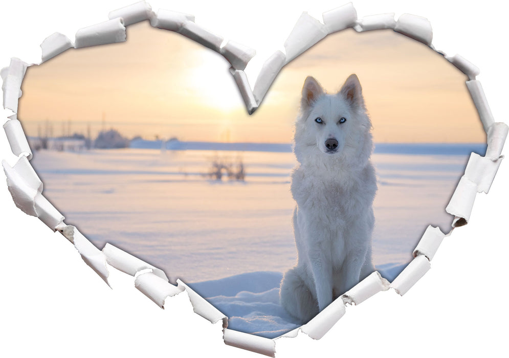 Weißer Wolf im Schnee 3D Wandtattoo Herz