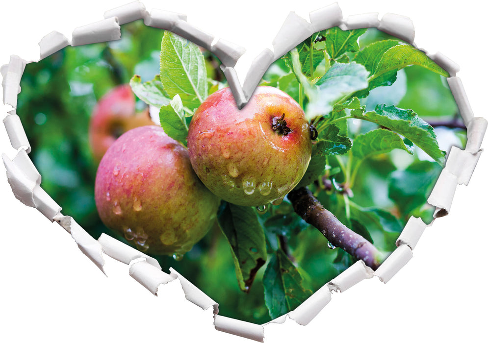 Köstliche wilde Äpfel  3D Wandtattoo Herz
