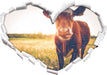 Kuh auf Butterblumenwiese 3D Wandtattoo Herz
