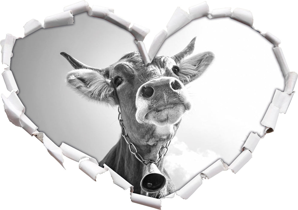 Portrait einer Kuh B&W 3D Wandtattoo Herz