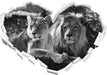 interessiertes Löwenpaar Kunst B&W 3D Wandtattoo Herz