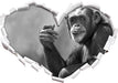 Aufmerksamer Schimpanse Kunst B&W 3D Wandtattoo Herz