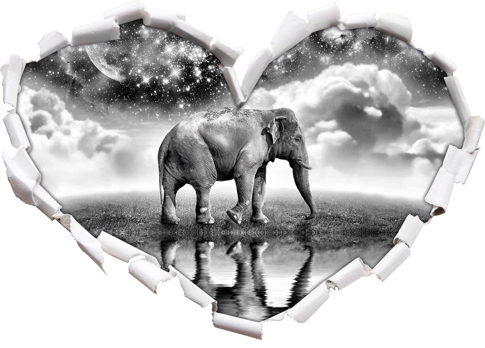 Elefant, Wiese, Himmel, Afrika 3D Wandtattoo Herz