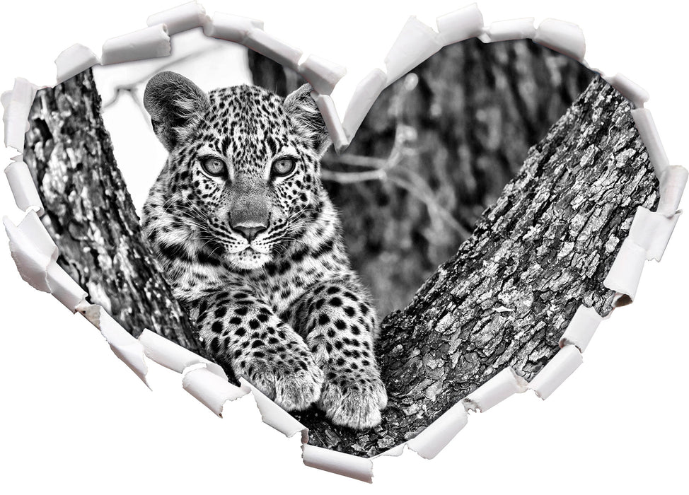 Leopardenbaby 3D Wandtattoo Herz