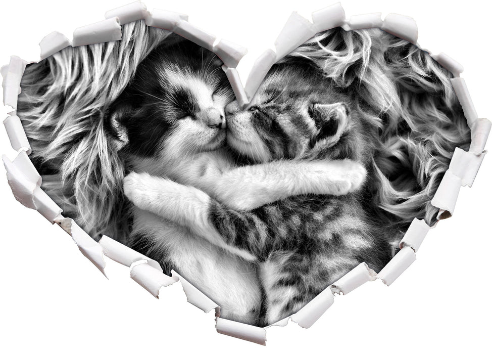 Zwei kuschelnde Kätzchen 3D Wandtattoo Herz