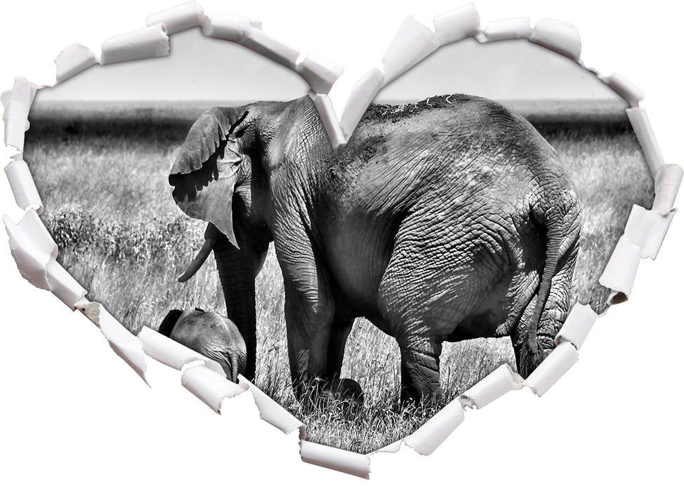 Elefantenweibchen mit Jungtier 3D Wandtattoo Herz