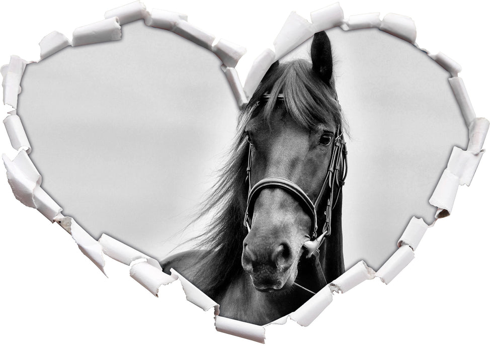 Schönes Pferd 3D Wandtattoo Herz