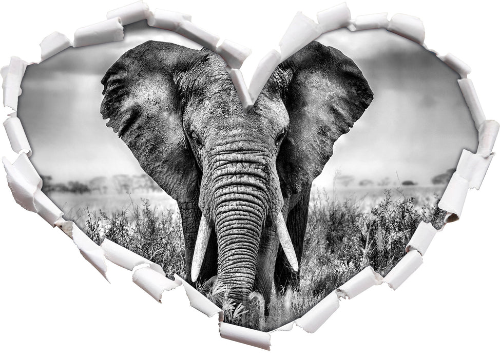 Imposanter Elefant 3D Wandtattoo Herz