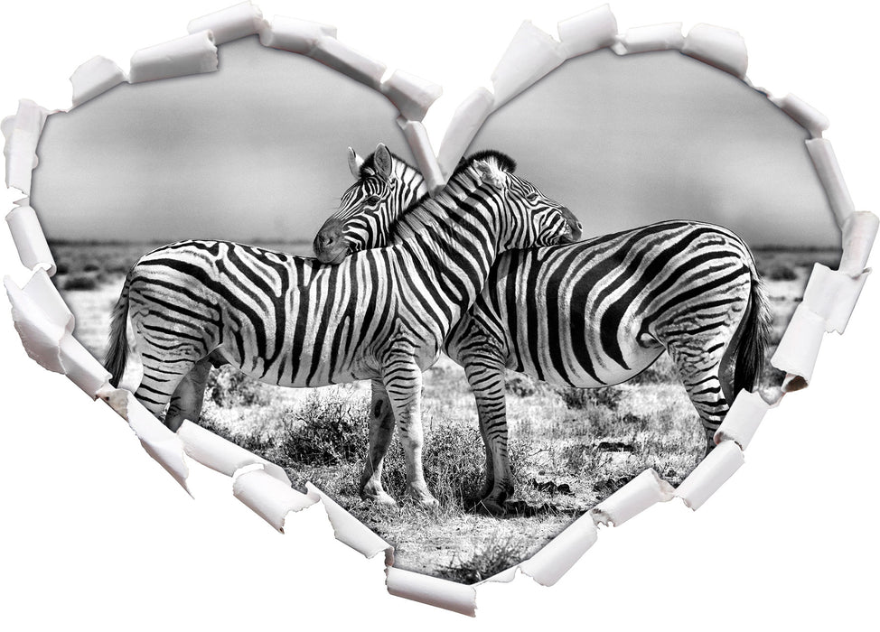 Schmusende Zebras 3D Wandtattoo Herz