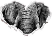 Elefant B&W 3D Wandtattoo Herz
