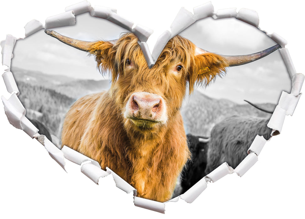 Blick einer Kuh an der Weide B&W 3D Wandtattoo Herz