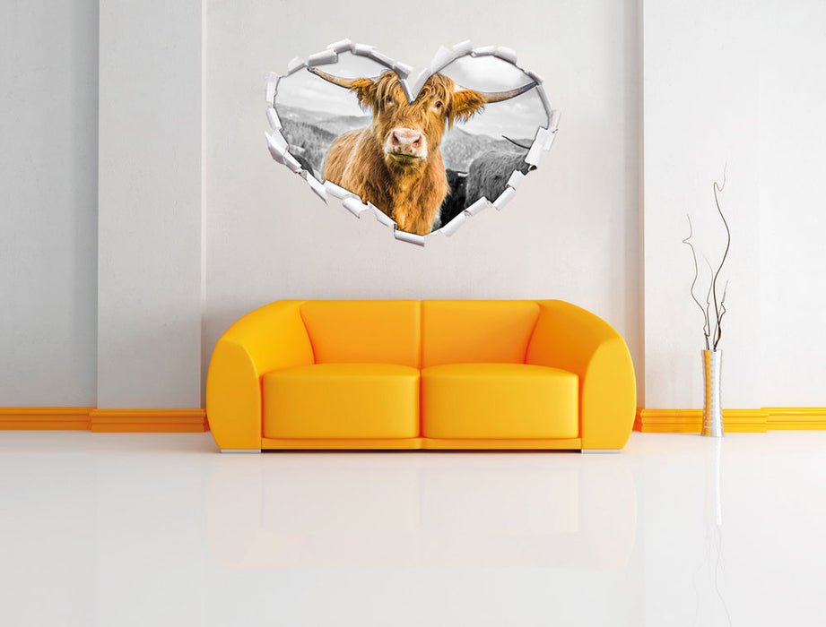 Blick einer Kuh an der Weide B&W 3D Wandtattoo Herz Wand