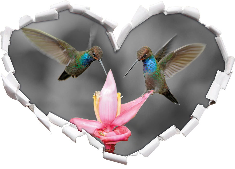Kolibris in den Tropen 3D Wandtattoo Herz