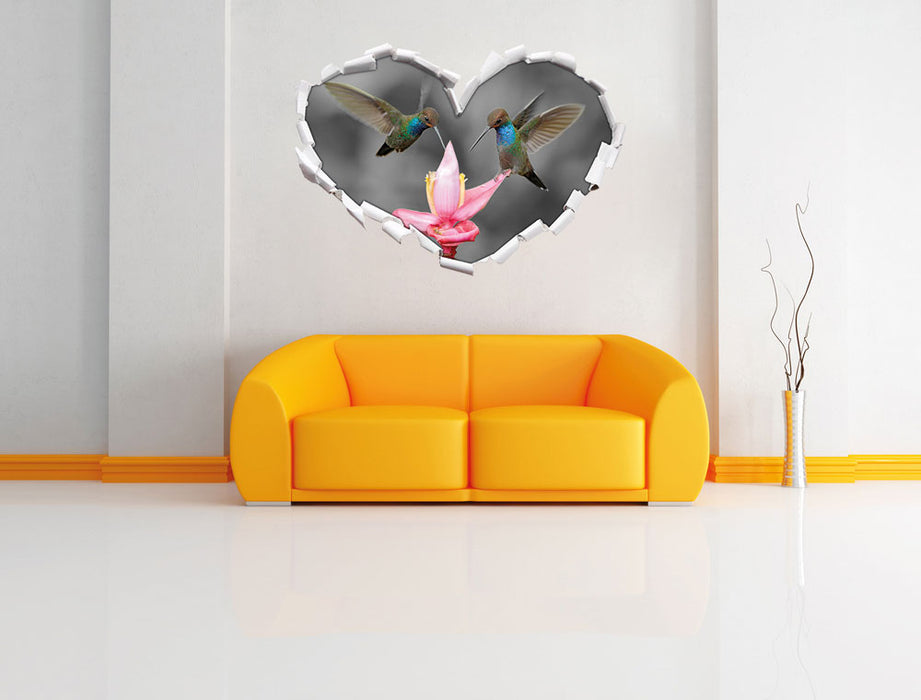 Kolibris in den Tropen 3D Wandtattoo Herz Wand
