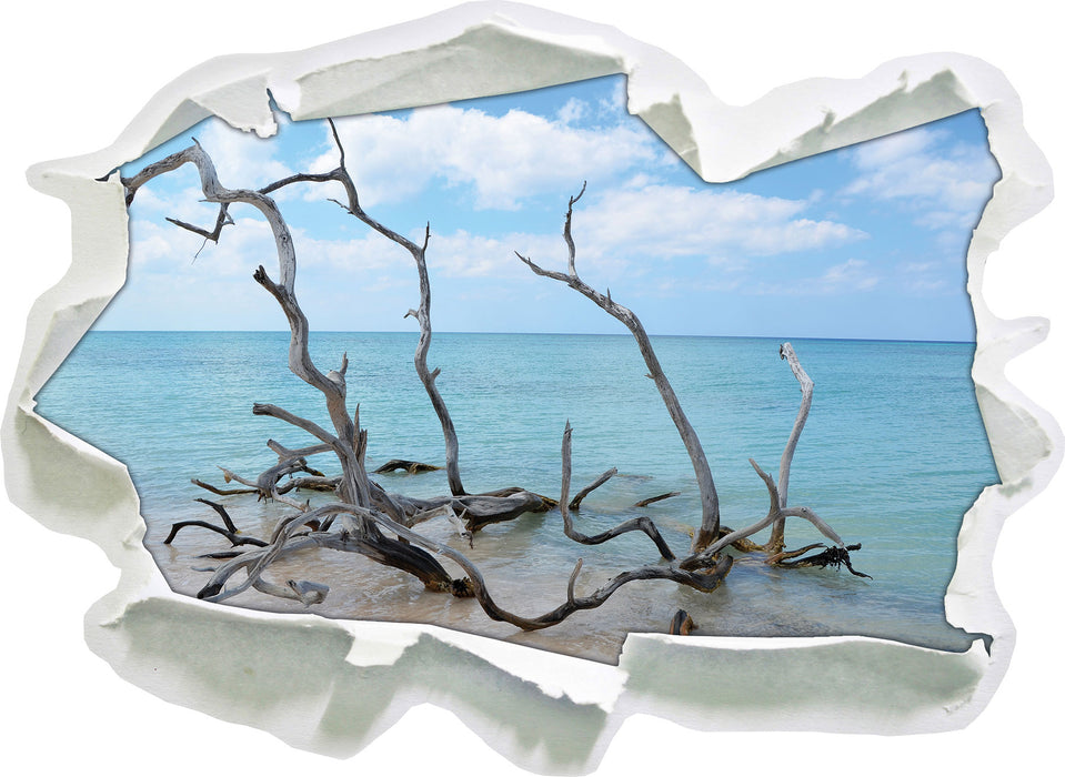 Strand mit Treibholz in Kuba  3D Wandtattoo Papier