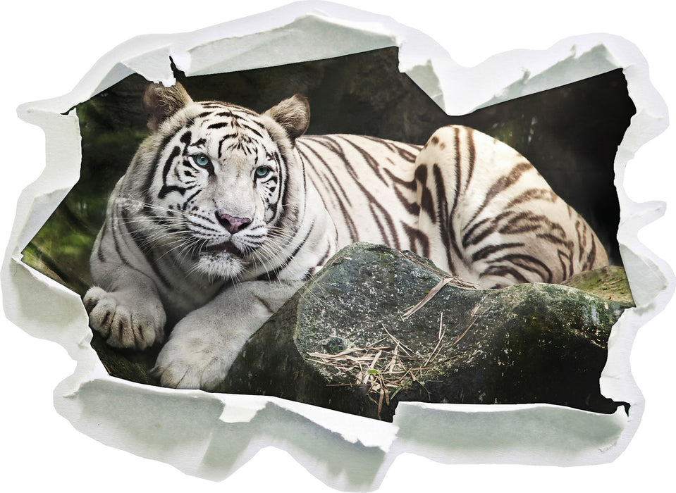 Stolzer weisser Tiger  3D Wandtattoo Papier