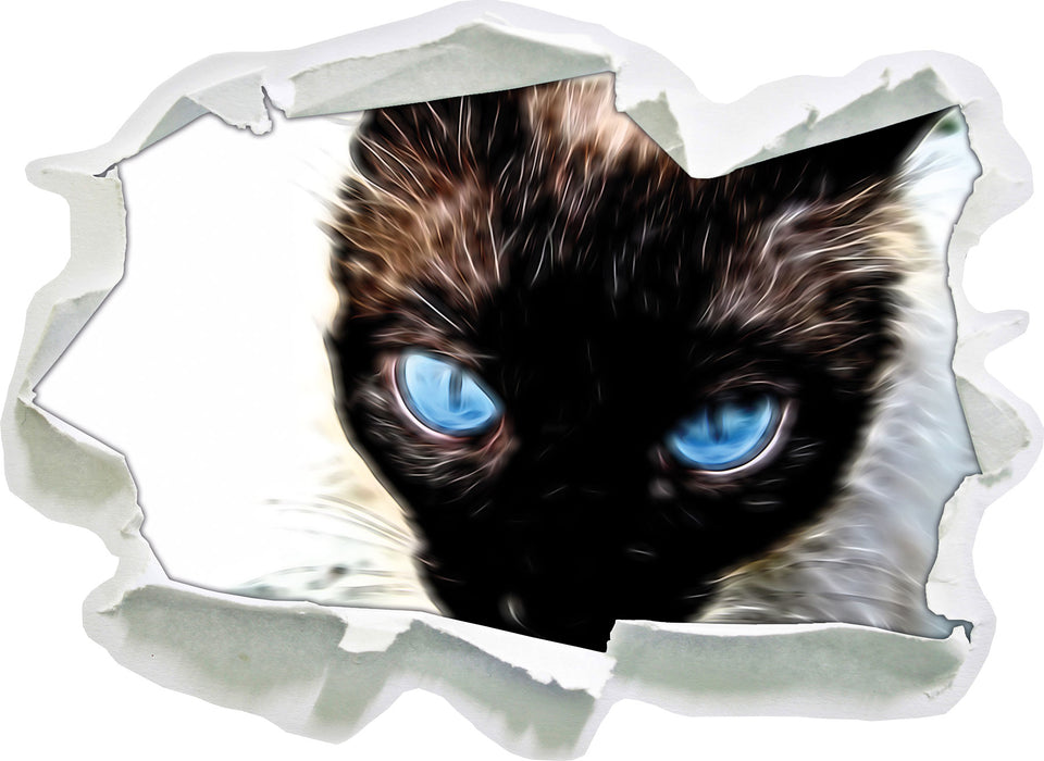 Schwarze elegante Katze  3D Wandtattoo Papier