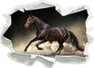 Anmutiges dunkles Pferd  3D Wandtattoo Papier