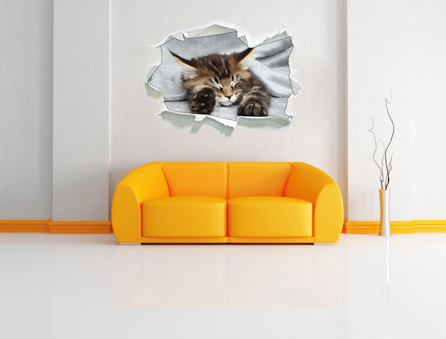 Kleines süßes Kätzchen 3D Wandtattoo Papier Wand