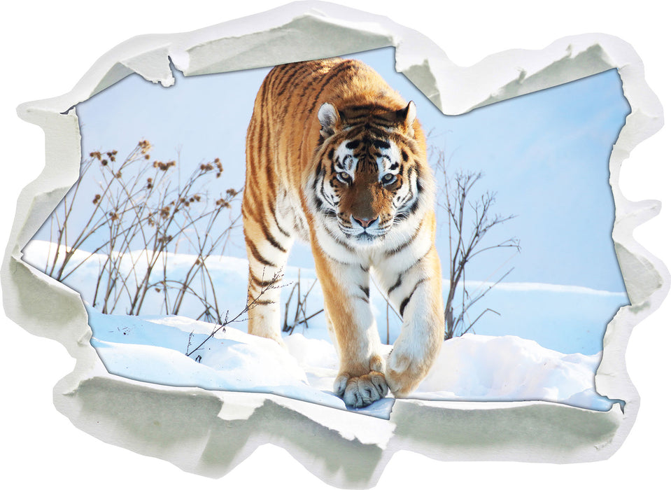 Stolzer Tiger im Schnee  3D Wandtattoo Papier