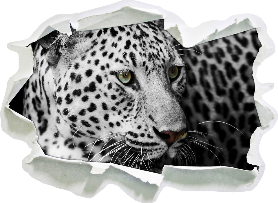 Stolzer Leopard  3D Wandtattoo Papier