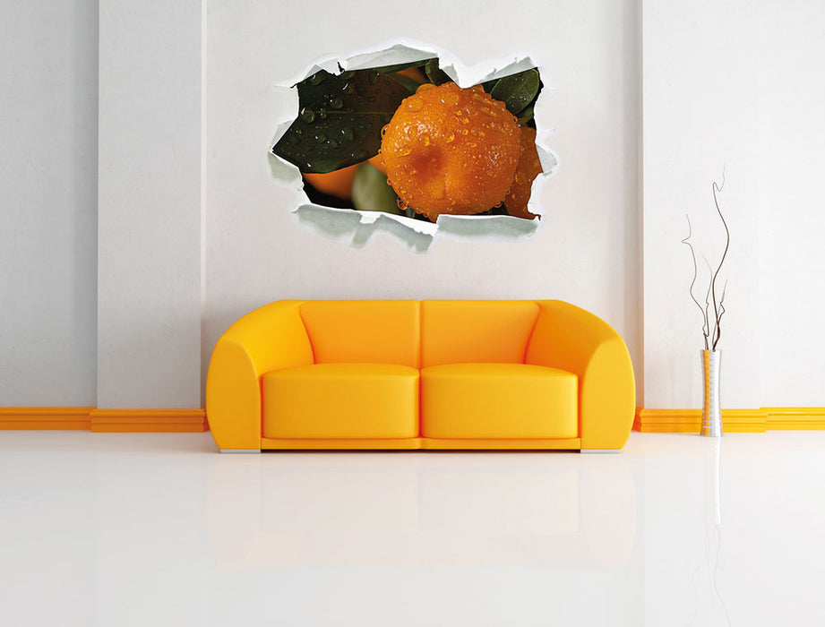 Saftige frische Orange 3D Wandtattoo Papier Wand