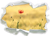 Wunderschöne Mohnblume im Feld  3D Wandtattoo Papier
