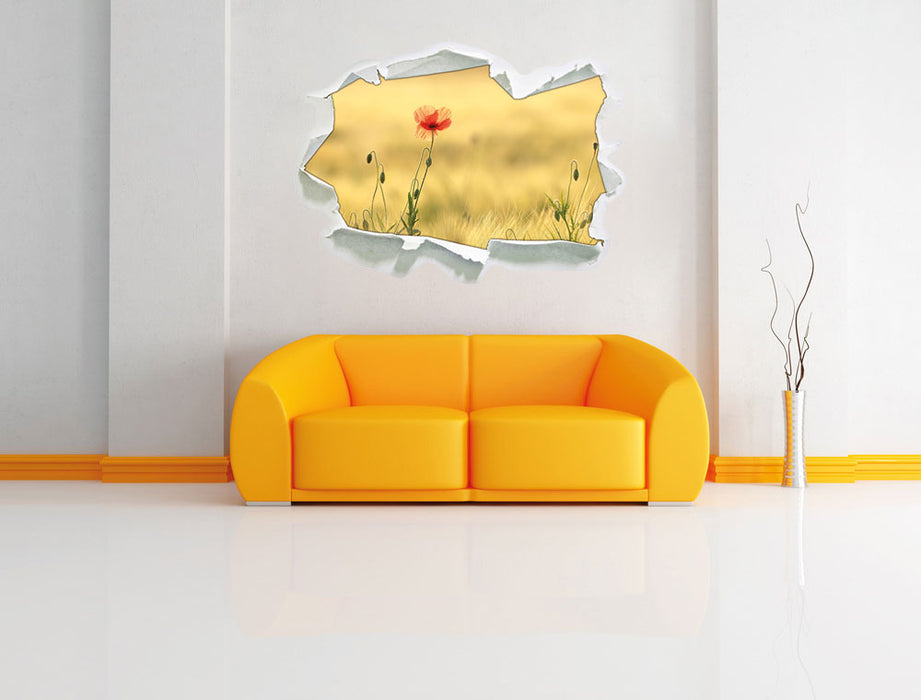 Wunderschöne Mohnblume im Feld 3D Wandtattoo Papier Wand