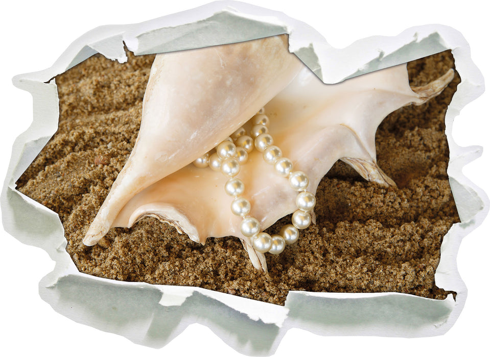 Muschel mit Perlenkette  3D Wandtattoo Papier