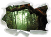 Geheimnisvoller Regenwald  3D Wandtattoo Papier