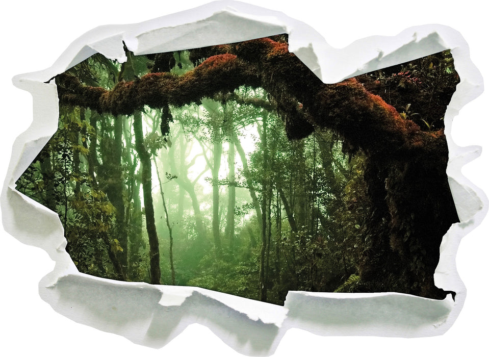 Geheimnisvoller Regenwald  3D Wandtattoo Papier