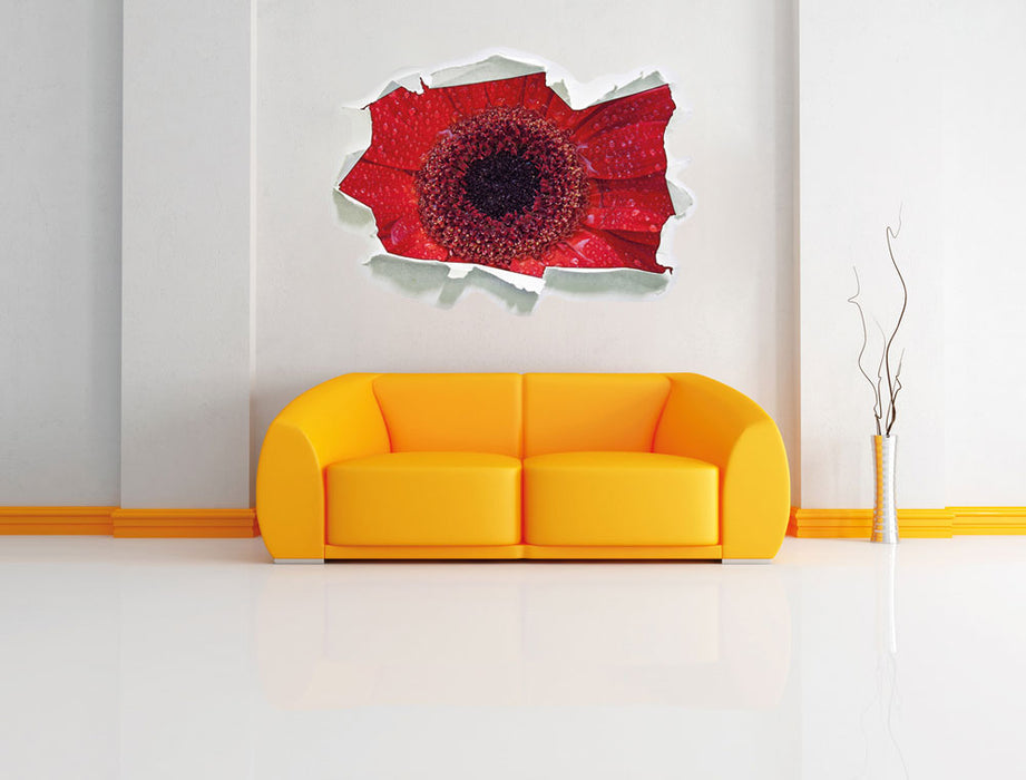 Wassertropfen auf roter Blüte 3D Wandtattoo Papier Wand