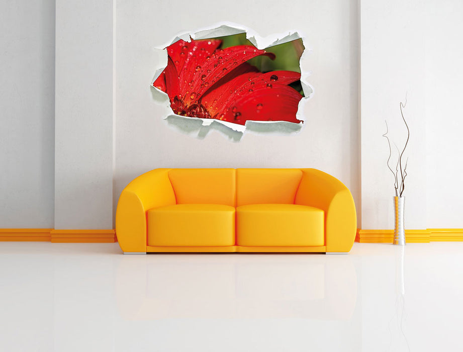 Tautropfen auf roter Blume 3D Wandtattoo Papier Wand
