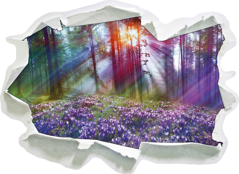 Krokusse im Wald 3D Wandtattoo Papier