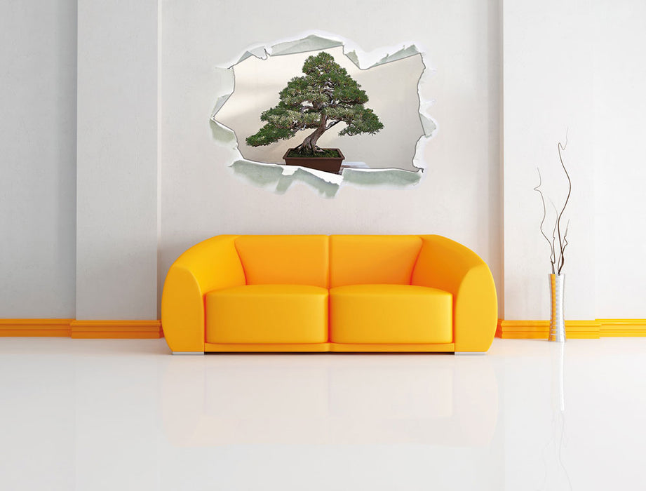 Bonsai Baum 3D Wandtattoo Papier Wand