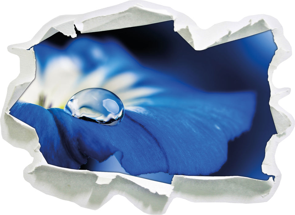 Wassertropfen auf blauer Blüte  3D Wandtattoo Papier