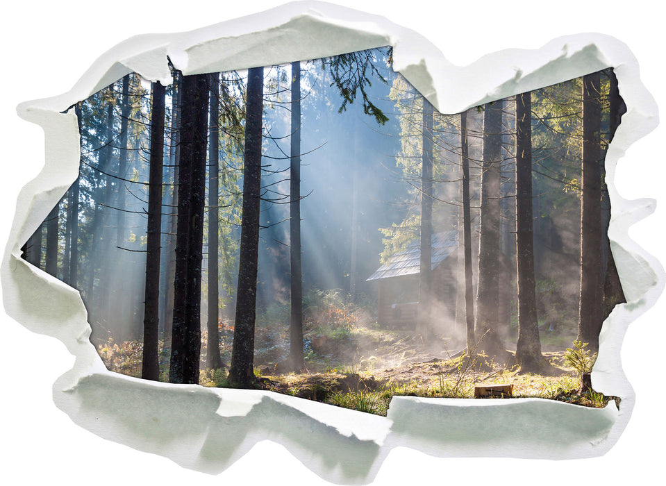 Sonnenstrahlen im Wald  3D Wandtattoo Papier