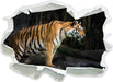 Tiger  3D Wandtattoo Papier