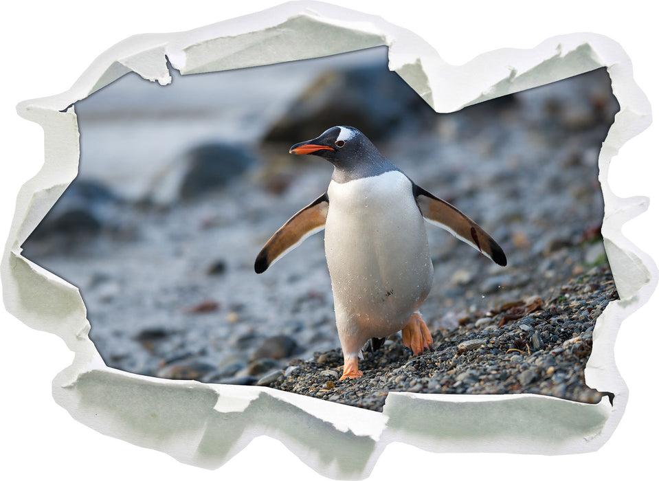 Pinguine  3D Wandtattoo Papier