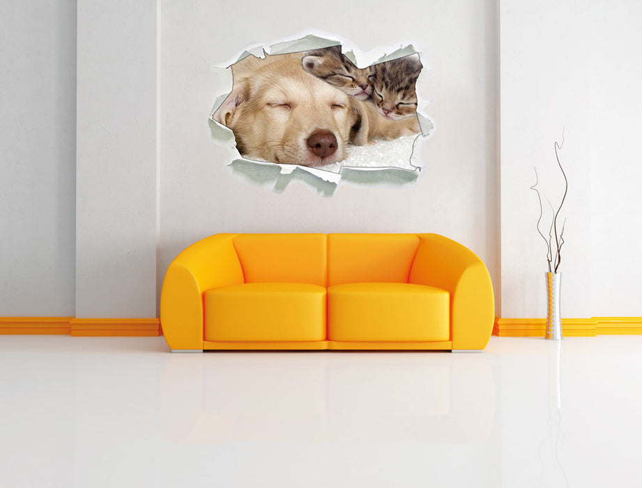 Kätzchen und Hund schmusend 3D Wandtattoo Papier Wand