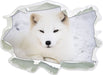 Weißer Fuchs  3D Wandtattoo Papier