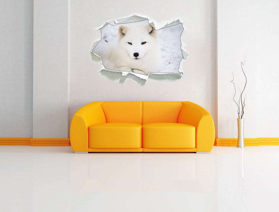 Weißer Fuchs 3D Wandtattoo Papier Wand