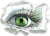 Grünes Auge  3D Wandtattoo Papier