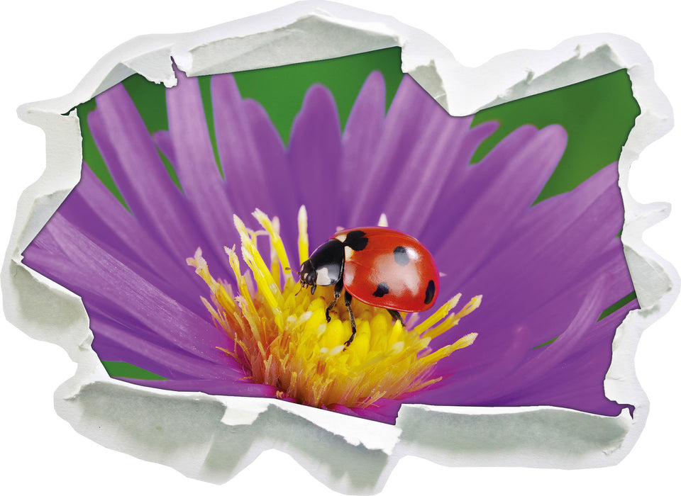 Marienkäfer auf Blume  3D Wandtattoo Papier