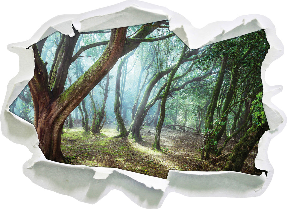 Wald 3D Wandtattoo Papier