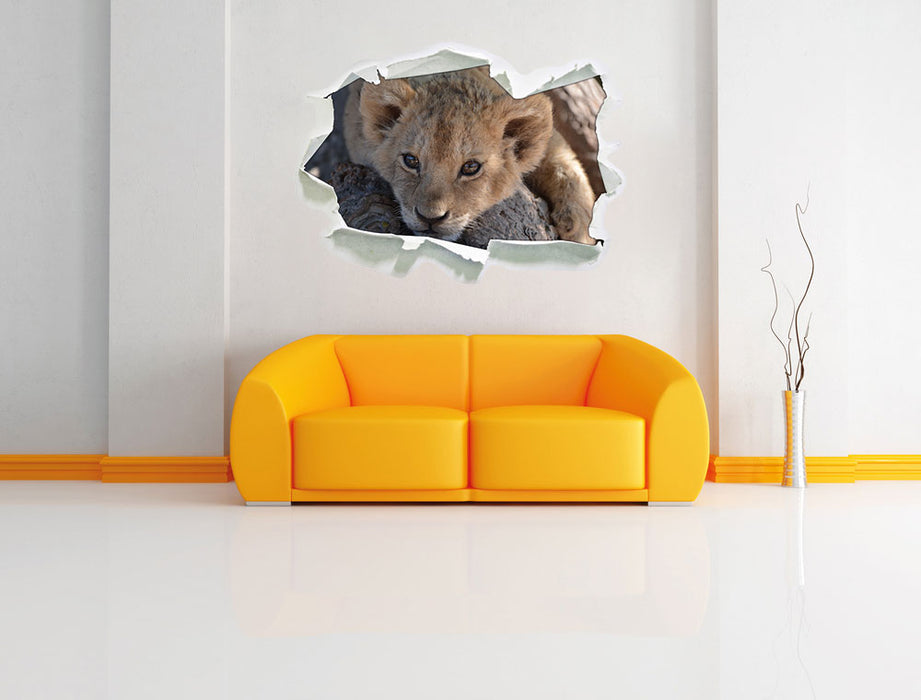 Süßes Löwenbaby 3D Wandtattoo Papier Wand