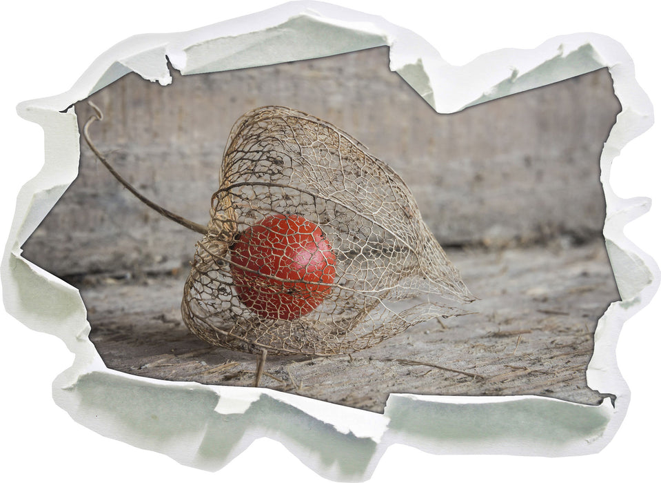 Pixxprint Physalis, 3D Wandtattoo