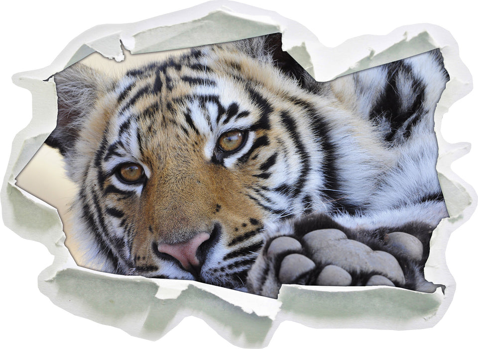 Tiger  3D Wandtattoo Papier